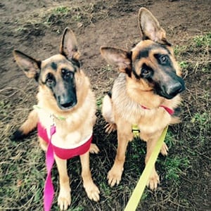Axul and Graycie