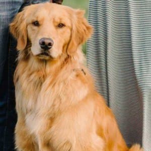 Eli