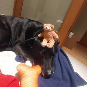 Sam