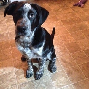 Wallace