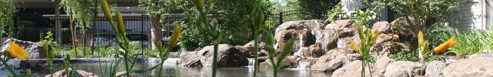 Activities for the senior living community in Sacramento