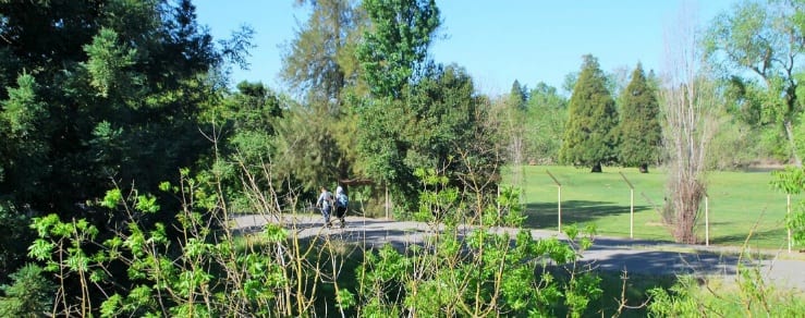 Open field at the senior living community in Sacramento