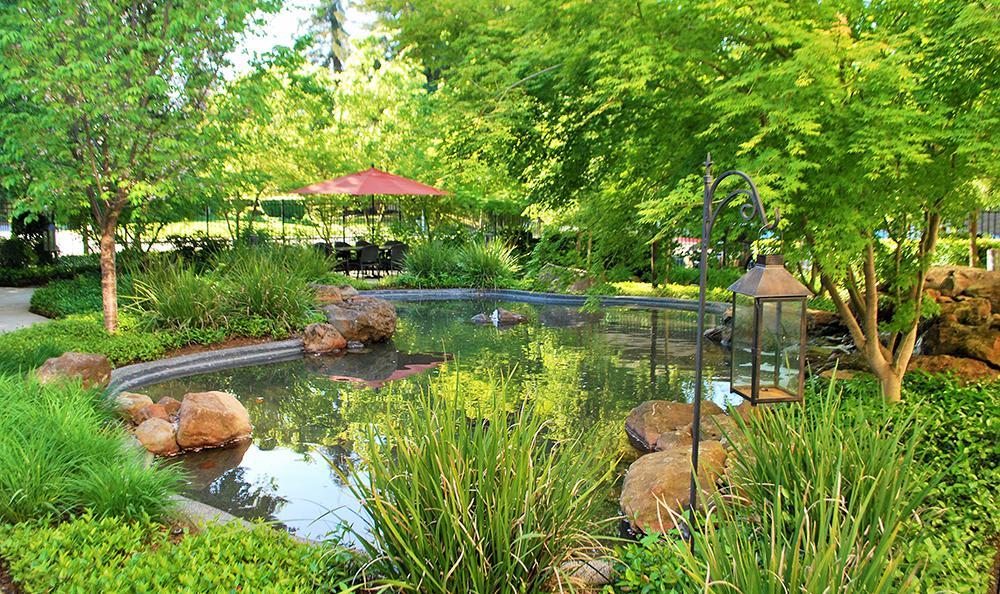 Beautiful pond at Campus Commons Senior Living in Sacramento, California