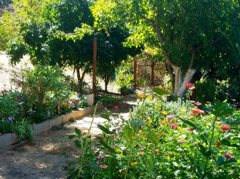 A wonderful community garden at .