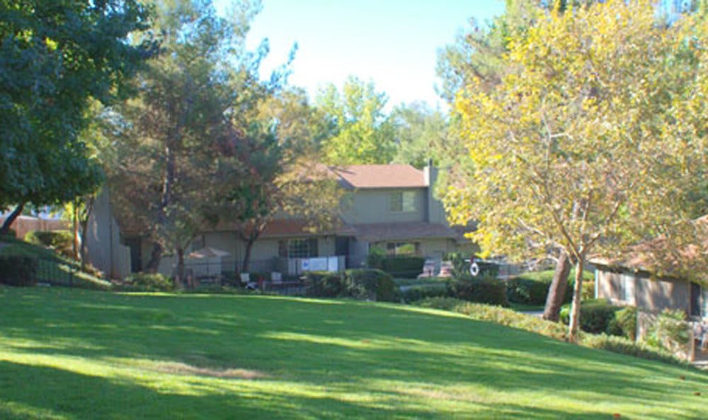 Green areas for dogs at Auburn Townhomes in Auburn, California