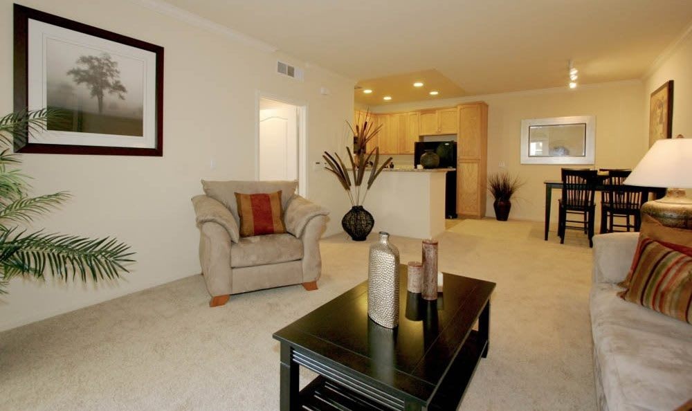 Photos Of The Villagio In Northridge Ca