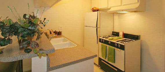 Kitchen at The Excelsior