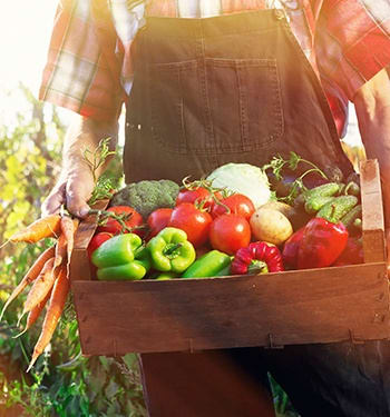 With Maplewood Senior Living's farm-to-table philosophy, our residents receive only farm-fresh ingredients in our delectable chef-prepared meals.