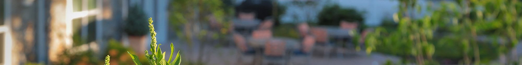 Respite care in Darien