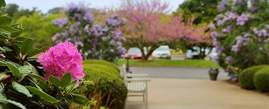 Learn more about skilled nursing at Maplewood at Mayflower Place in West Yarmouth.