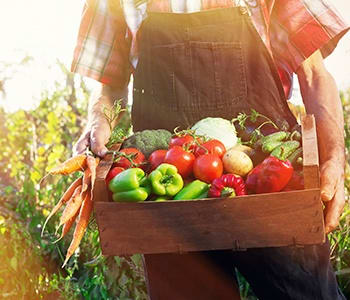 Our chefs use only local, farm-fresh ingredients here at Maplewood at Chardon