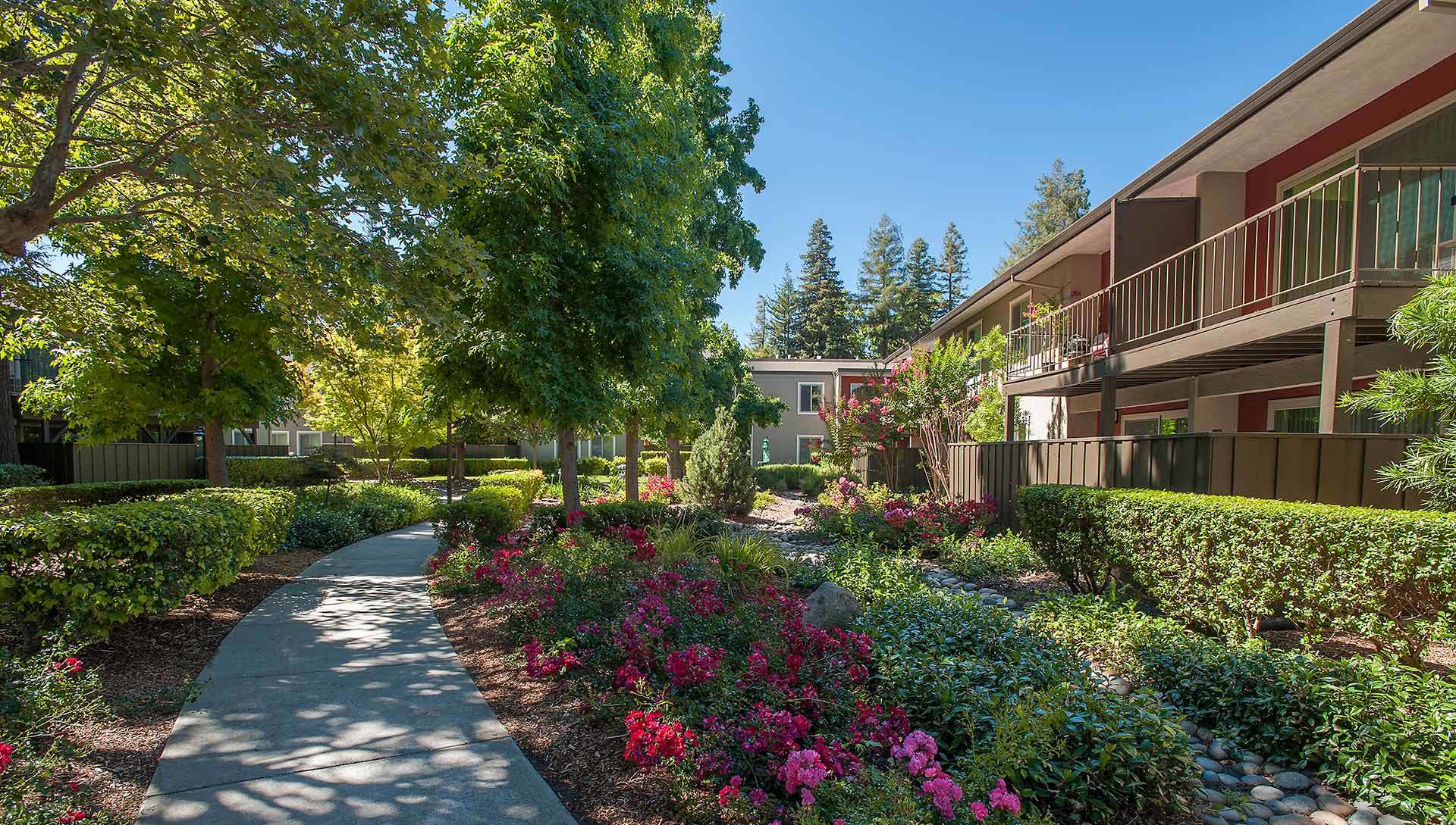 Walnut Creek Condos Flora Condominium Rentals