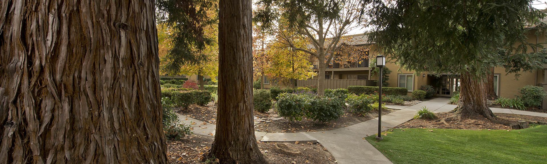 Read reviews of Flora Condominium Rentals on our website