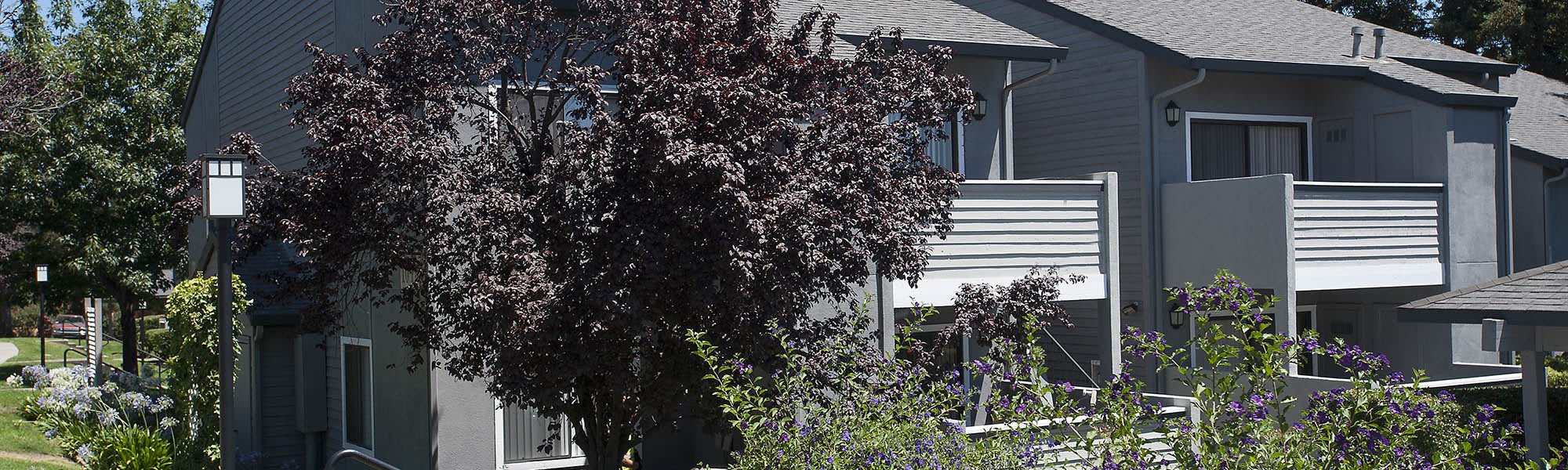 Learn about our exciting programs at Plum Tree Apartment Homes on our website