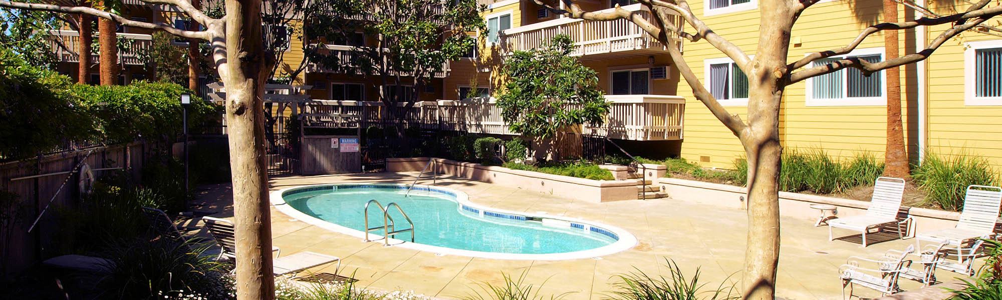 Read our privacy policy on our website for Regency Plaza Apartment Homes