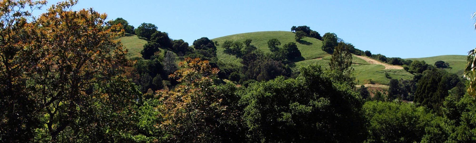 Learn about our neighborhood at Regency Plaza Apartment Homes in Martinez, CA on our website