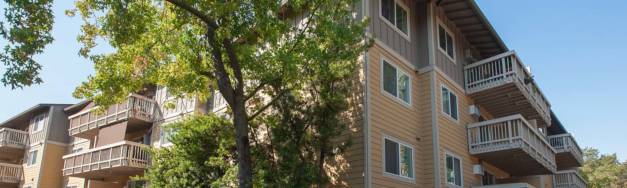 Learn about our exciting programs at Regency Plaza Apartment Homes on our website