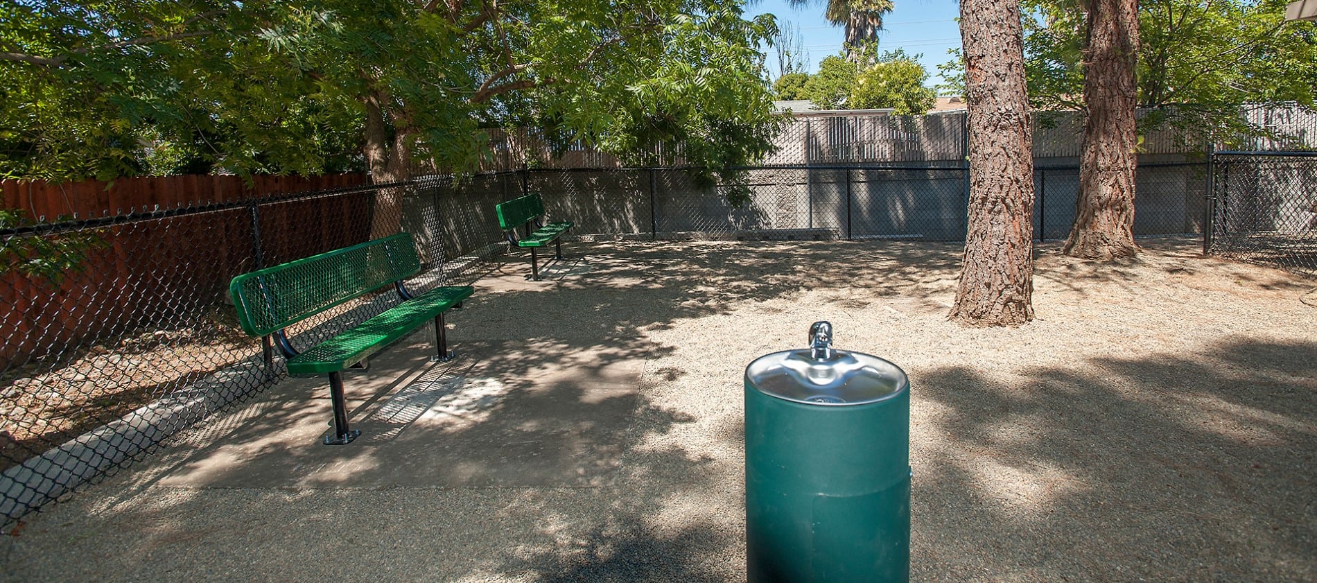 Pet friendly apartments at Reserve at Capital Center Apartment Homes in Rancho Cordova, California