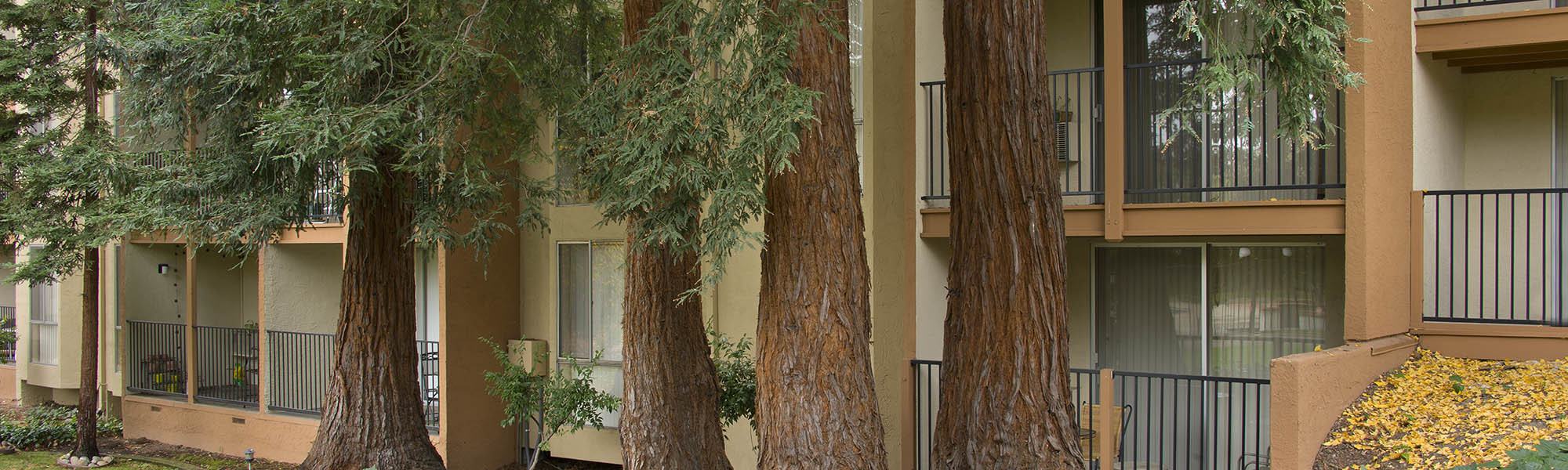 Neighborhood at Atrium Downtown in Walnut Creek, California
