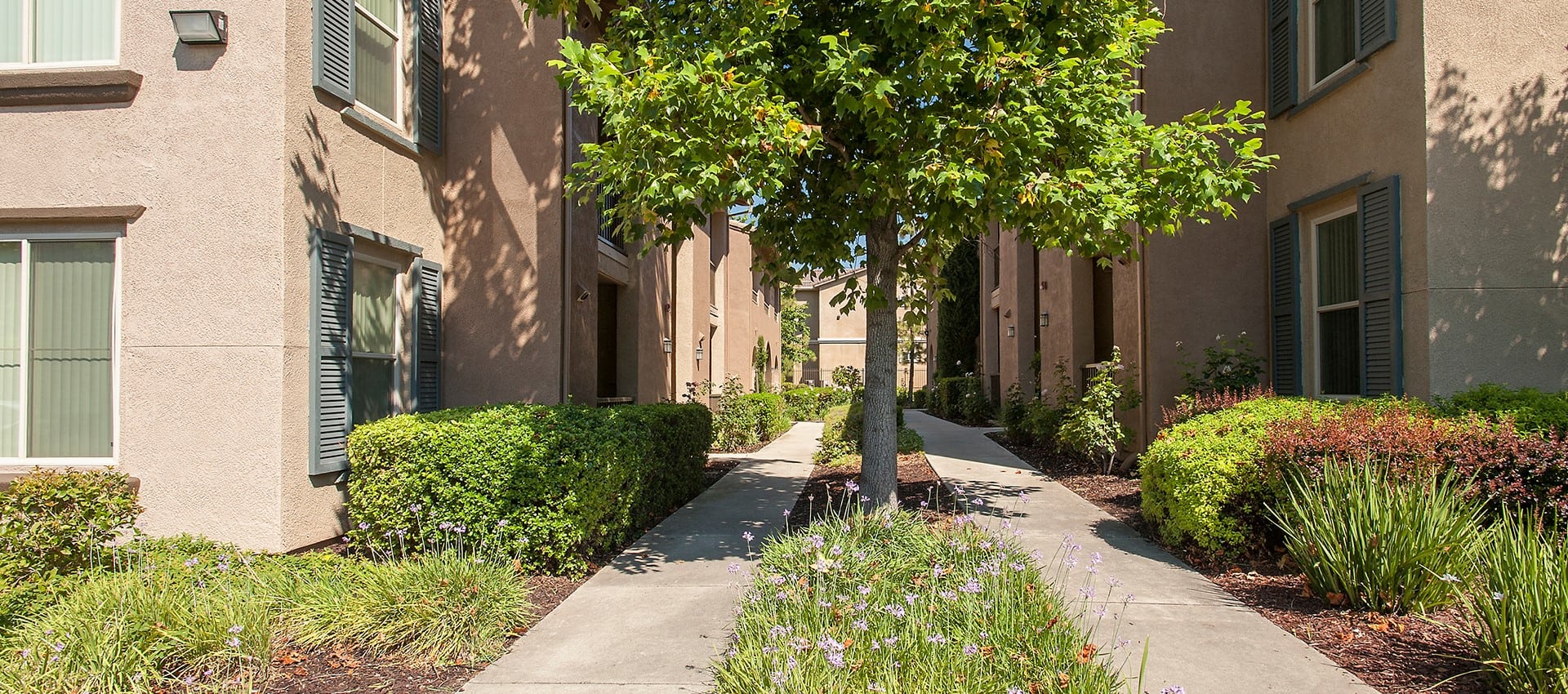 Venu at Galleria Condominium Rentals is pet friendly. Read our pet policy here.