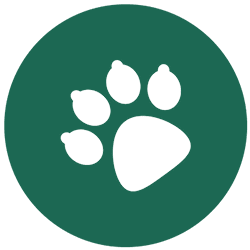 Click here for the Pet Policy at Pinewood Creek in New Berlin, Wisconsin
