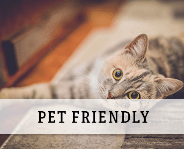 pet friendly apartments in West Allis