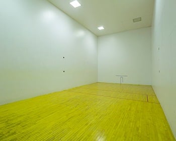We've got a racquetball court and more here at Fairlane Meadow Apartments in Dearborn.