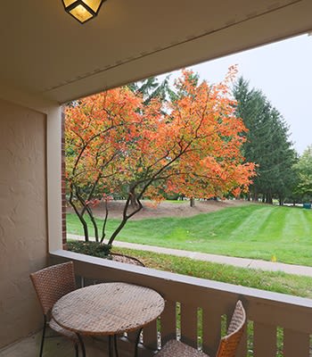 The neighborhood at Fairlane Meadow Apartments in Dearborn is second to none; come see for yourself!