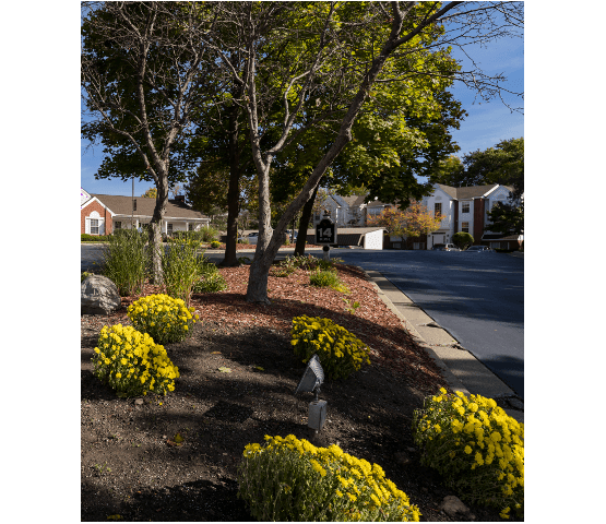 Luxurious amenities abound at Ponds at Georgetown Apartments in Ann Arbor.
