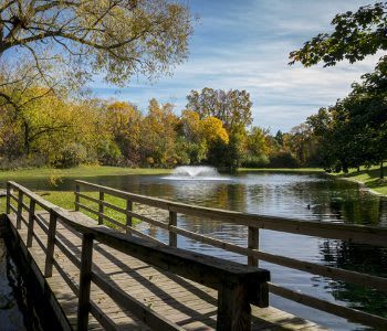 Schedule your tour of Ponds at Georgetown Apartments today and see the wonderful neighborhood that you could be calling home!