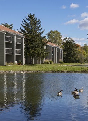 Great schools, wonderful employers, excellent entertainment, and more await residents of The Pines of Cloverlane Apartments in Ypsilanti!