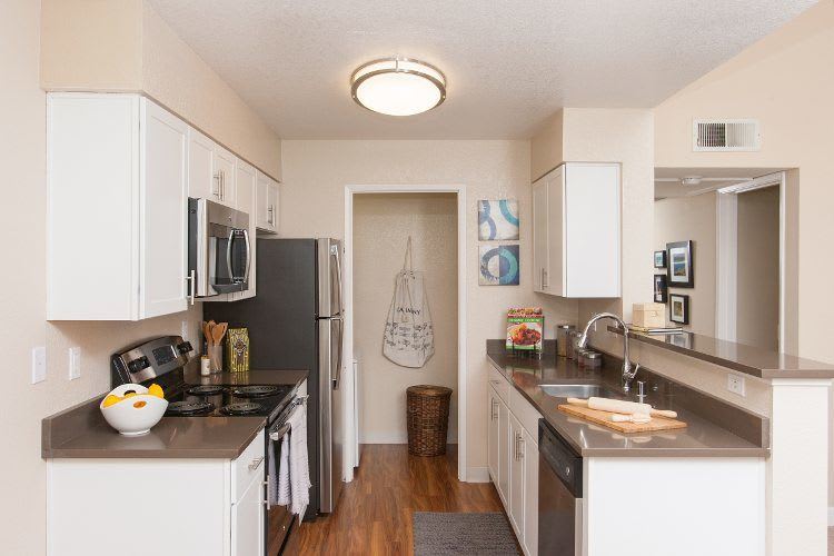 Modern kitchen with appliances at The Villages in California
