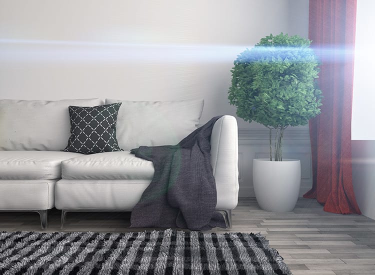Well-decorated living room at luxury apartment in Santa Cruz