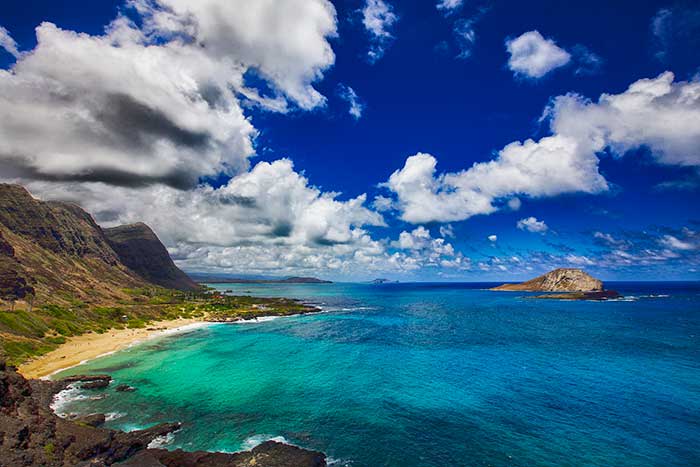 Careers at The Care Center of Honolulu in Honolulu