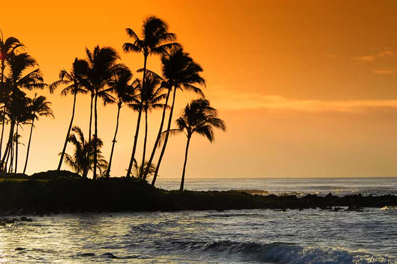 Live and work in tropical Hawaii