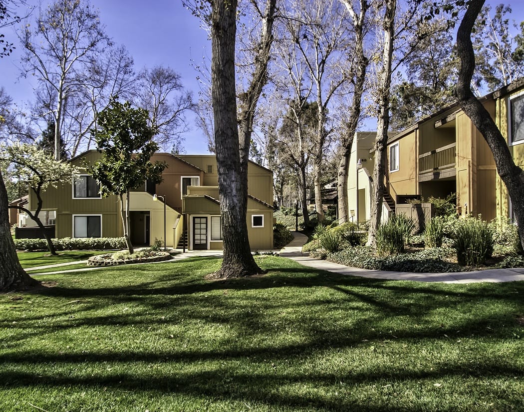 Lush greenery at Alvista Canyons