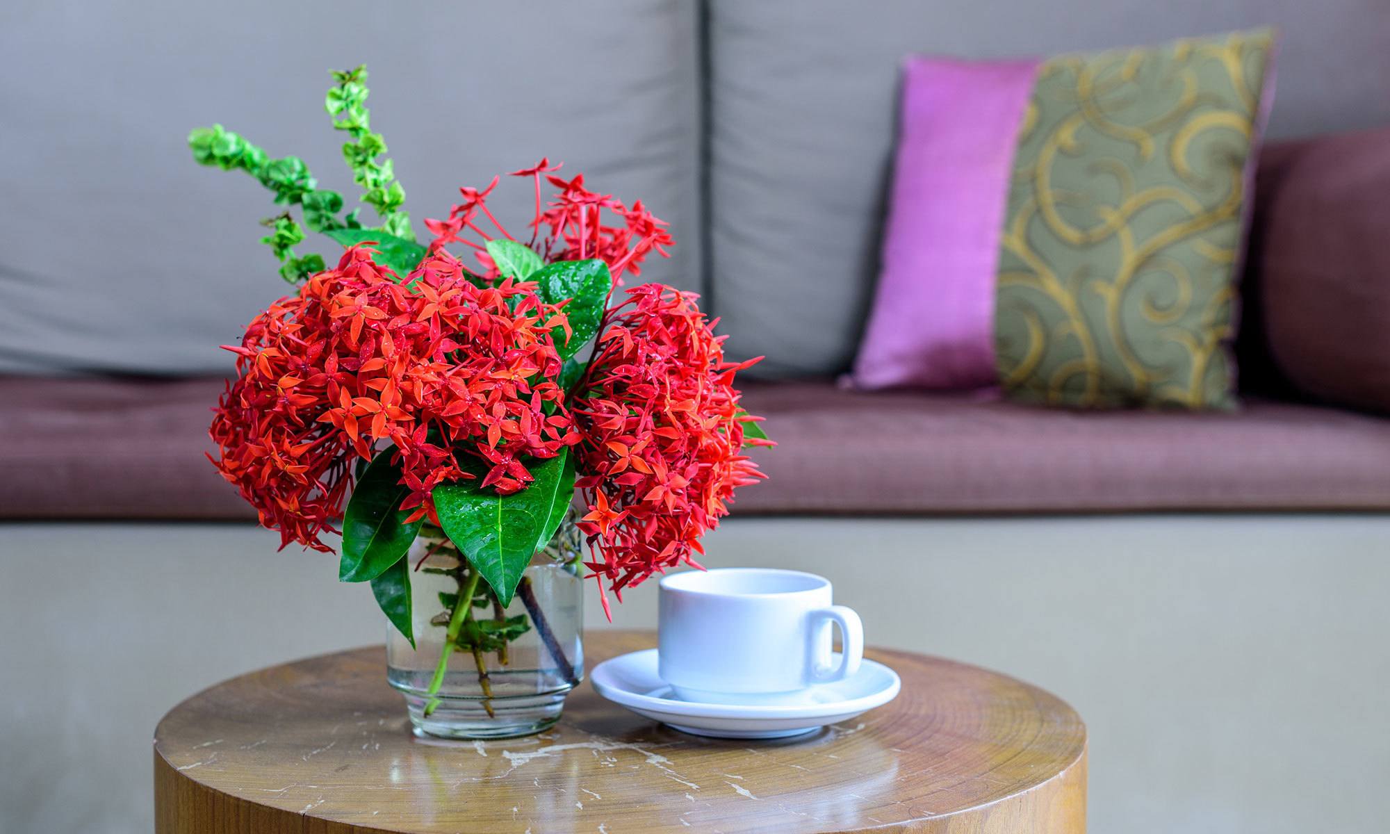 Learn more about our affordable apartments in Madison, TN; schedule your tour today!