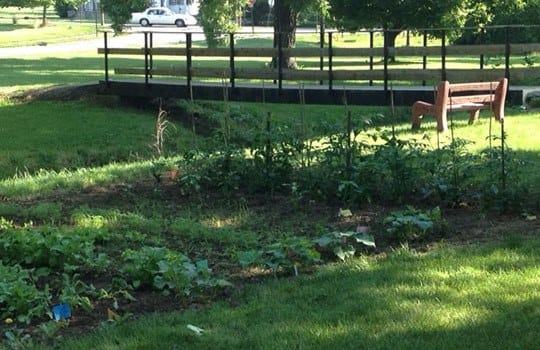 Garden at Harding House