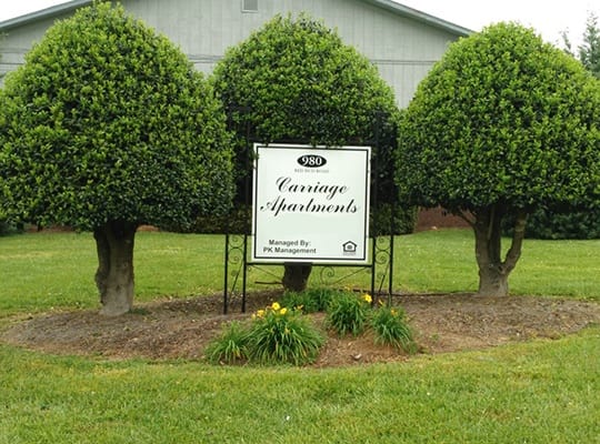 Our community at Carriage Apartments