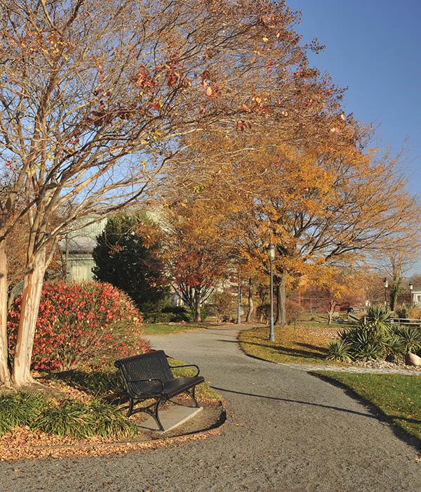Play near Sussex at Kingstowne