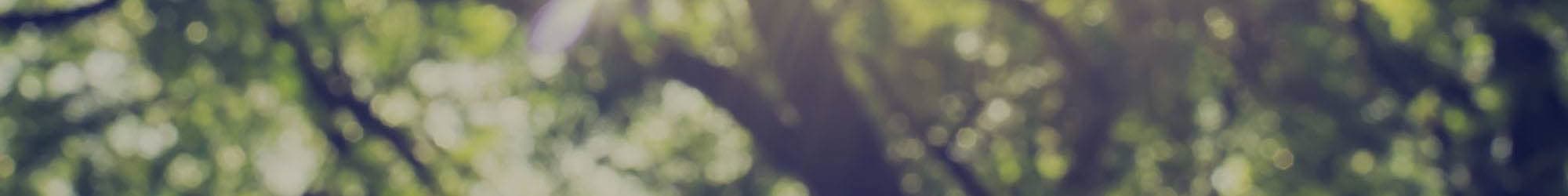 Read our privacy policy | Island Creek Village