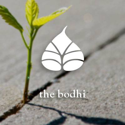 View Bodhi at Island Creek Village's website