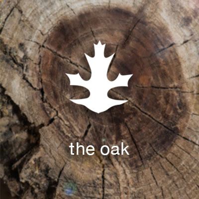 View Oaks at Island Creek Village's website