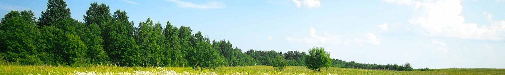 Memory care at Ridgeline Management Company