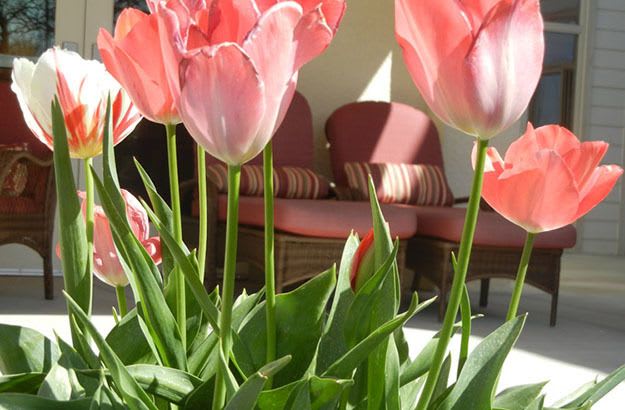 Respite care is offered at The Vistas Assisted Living and Memory Care.