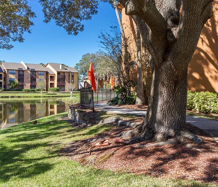 See all our Tampa neighborhood has to offer.