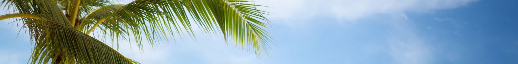 Woodland Palms Memory Care | Team