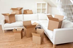 Packing boxes on sofa
