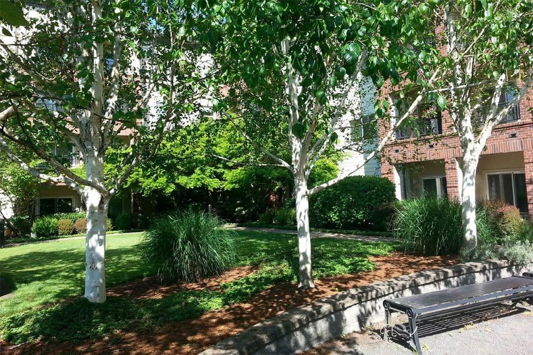 Find out why our residents love living at Anthem Park @ Uptown Village; schedule a tour of our apartment community in Vancouver.