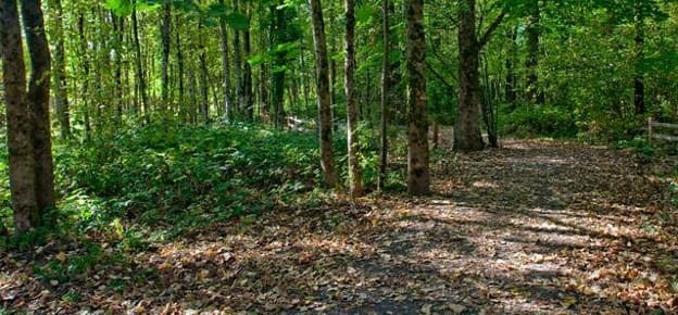 Enjoy an active outdoor lifestyle in Fairview, OR
